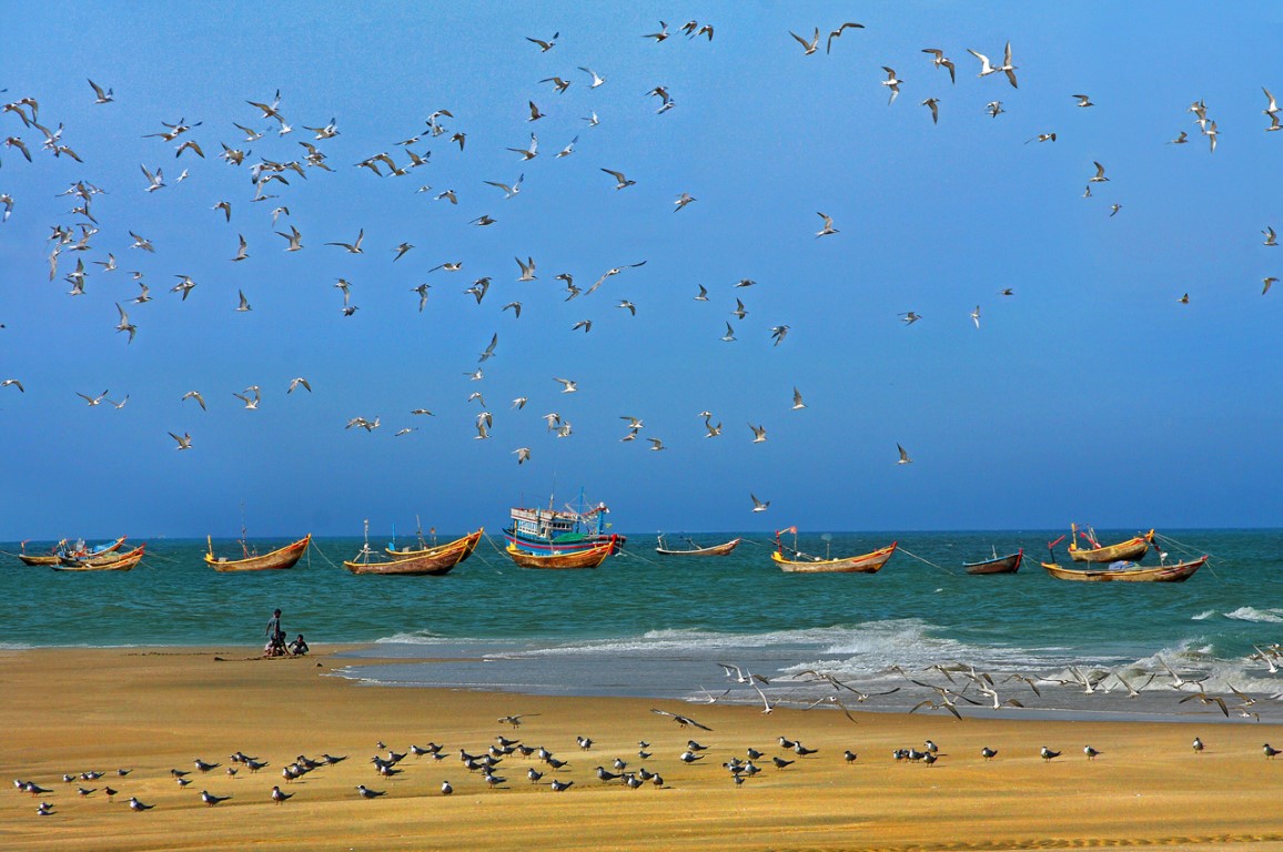 Hải âu và biển cả, Huỳnh Hiệp (Bình Thuận)
